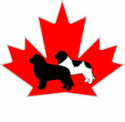 Newfoundland Dog Club of Canada